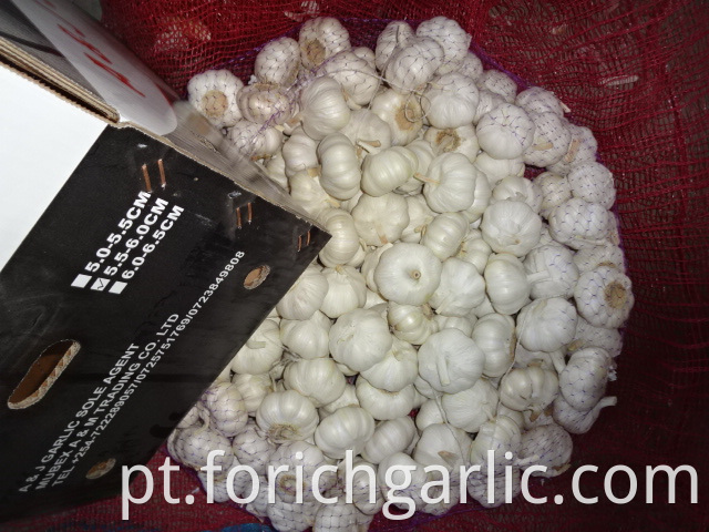 High Quality Pure White Garlic